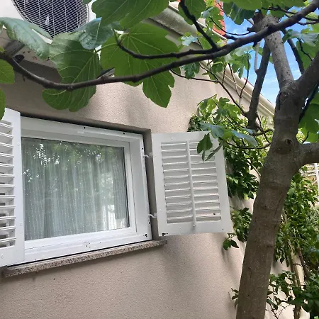 Private House Radolovic بولا