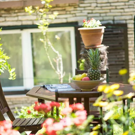 Private House Radolovic شقة