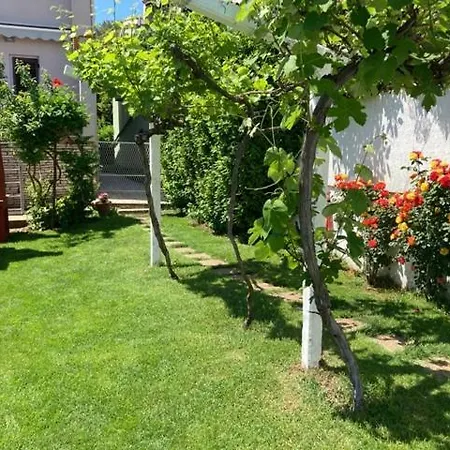 Private House Radolovic Pula