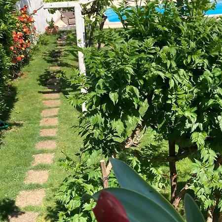 Private House Radolovic *